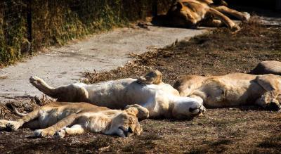 Прикрепленное изображение: _MG_8655.jpg